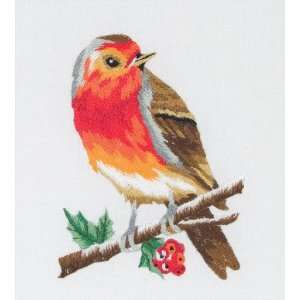  Robin (Bird)   Freestyle Embroidery Kit Arts, Crafts 