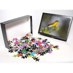   Jigsaw Puzzle of Yellow breasted from Danita Delimont Toys & Games