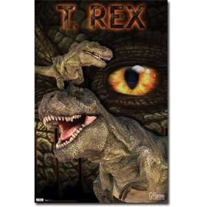 Dinosaur   T Rex   Poster (22x34)