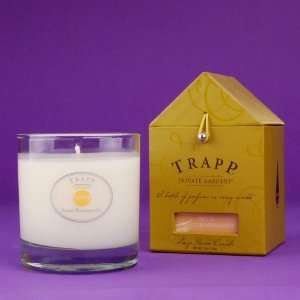  Sweet Honeysuckle Large Trapp Candle No.33