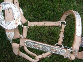 Western Horse Rodeo Plated Show Halter Natural Crystals  