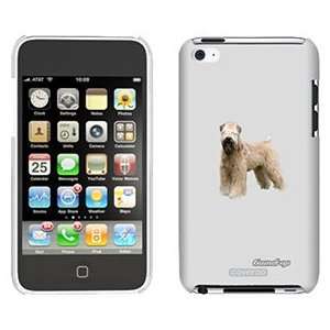  Soft Coated Wheaton on iPod Touch 4 Gumdrop Air Shell Case 