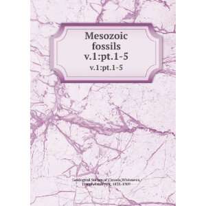  Mesozoic fossils. v.1pt.1 5 Whiteaves, Joseph Frederick 