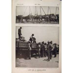  Boer War Africa 1900 Modder River Camp Metheun Food