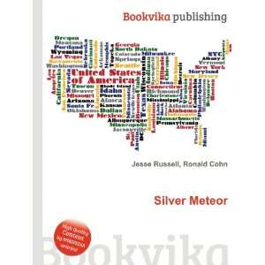 Silver Meteor Ronald Cohn Jesse Russell  Books