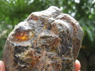 270g AMBER ROUGH SPECIMEN from Indonesia  
