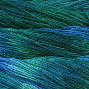  Malabrigo Chunky [emerald blue] Arts, Crafts & Sewing