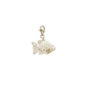  Rembrandt Charms Fish Charm with Lobster Clasp, Gold 