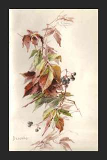 DECEMBER Flowers by CATHERINE KLEIN    1894 Chromo  