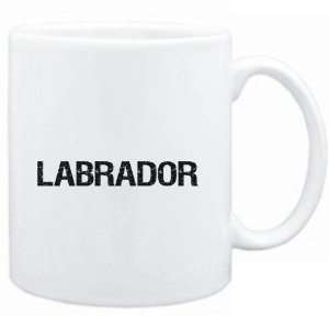   Labrador  SIMPLE / CRACKED / VINTAGE / OLD Dogs