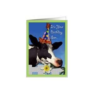  Funny Cow Birthday For Son Card Toys & Games