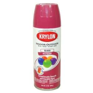  Krylon Raspberry Spray Paint 5 Ball Decorator Aerosol 