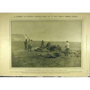   1907 Seal Preserves Usa Seal Hunters Kill Hunt Print