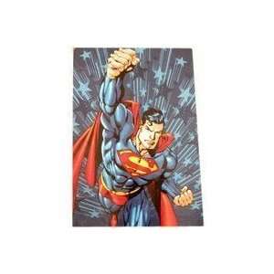  DC Superman Blanket Micro Raschel Throw   Power Of Flight 