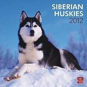  2012 Siberian Huskies Calendar