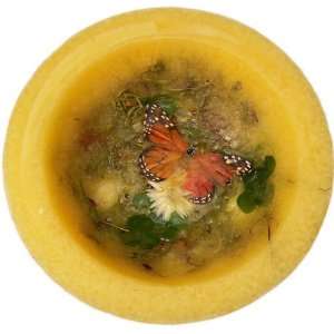  Butterfly Garden Habersham Wax Pottery Bowl 7 inch with 