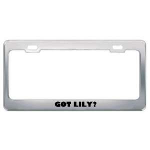  Got Lily? Girl Name Metal License Plate Frame Holder 