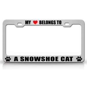  MY HEART BELONGS TO A SNOWHOE Cat Pet Auto License Plate 