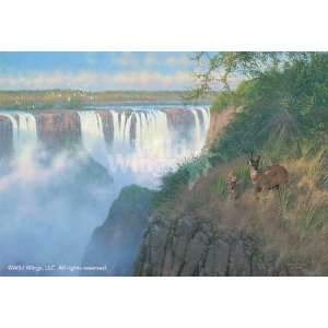   Sieve   Victoria Falls   Bush Buck Canvas Giclee