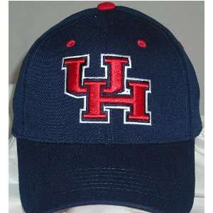 Houston Team Color OneFit Hat 