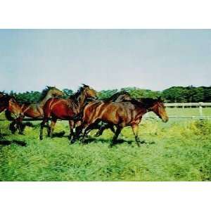  3D Lenticular Picture / Poster 10.5 X 13.5   HORSES 