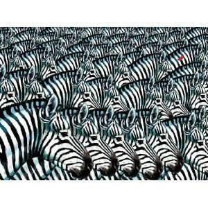  Zebras Zooming, 1000 Piece Jigsaw Puzzle Made by FX Toys 