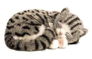 11 Grey TABBY CAT Kitty Stuffed Sleeping BREATHING  