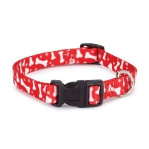  Casual Canine Nylon Pooch Pattern Dog Collar, 6 to 10 Inch 