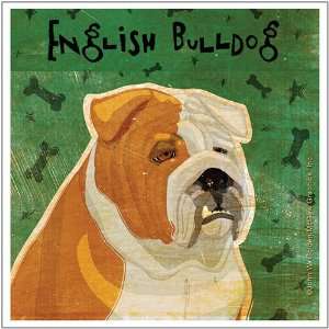  English Bulldog Stone Coasters