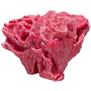  Ornament   Velvet Stone Coral X large Pink