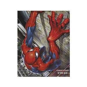  Spider man Movie Poster, 26.75 x 38.5 (2002)