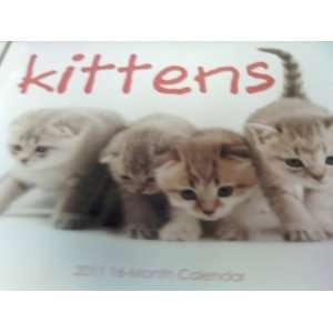  2011 Kittens Wall Calendar