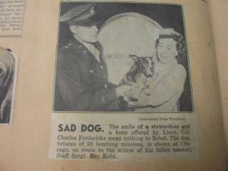   Authentic WWII WW2 Scrapbook Dog Photos Military Photos Soldier Photos