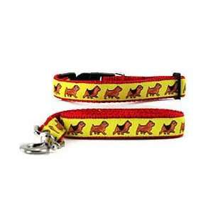  Norwich Terrier Collar & Leash