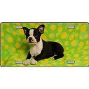 Pet Novelty License Plates Full Color Photography License Plates Plate 