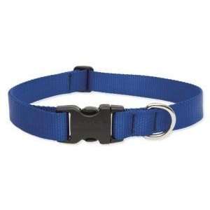  Lupine Large Dog Collar   Solid Blue 18 31 Inches Pet 