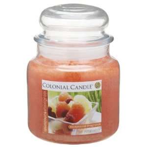  Pack of 4 Grapefruit and Wheatgrass Aromatic Jar Candles 