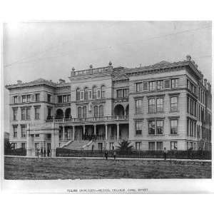  Tulane University,Medical College,Canal St,New Orleans 