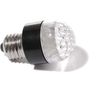  CC Vivid 12V LED Light Bulb