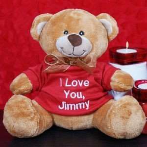  Embroidered Valentine Message Teddy Bear Toys & Games