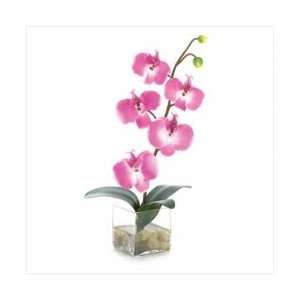  ORCHID IN GLASS VASE