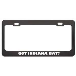 Got Indiana Bat? Animals Pets Black Metal License Plate Frame Holder 