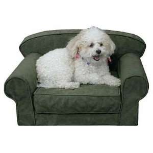  Casual Dog Couch Teacup