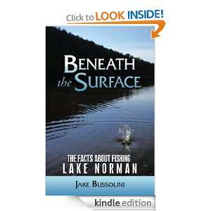 Beneath the Surface Jake Bussolini  Kindle Store