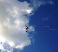 New stunt kites dual line 73 sport kite outdoor  