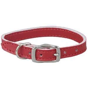  Pocket Pup Collar   3/8 x 7   9   Red