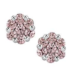 14k Gold 1/2ct TDW Pink Diamond Earrings (VS2)  