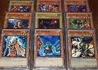 Lot of 20 random Warrior type Yu Gi Oh common cards