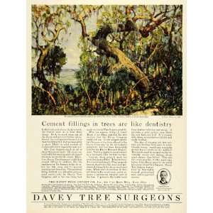 1925 Ad Davey Tree Surgeon Forest Saratosa FL Potter Palmer 
