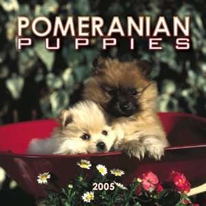  Pomeranian Puppies 2005 Mini Wall Calendar (9780763176396 